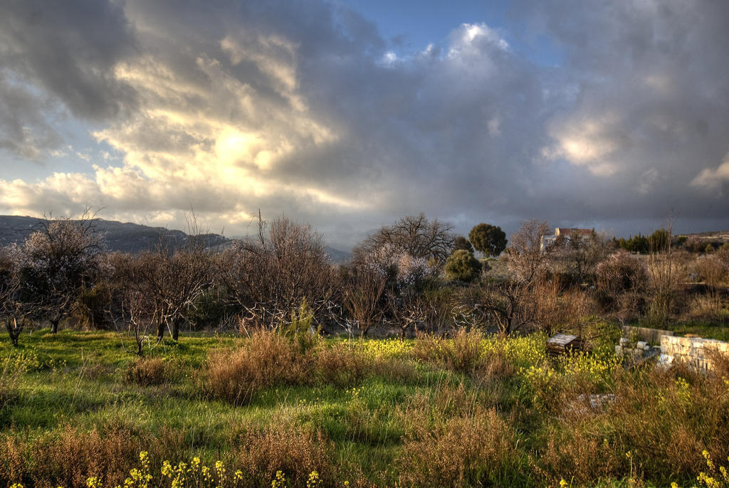 Lania Royal Oak House By Trulycyprus Villa Eksteriør bilde